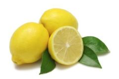 3kg Mayer Limon